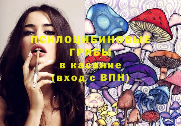 СК Вязники