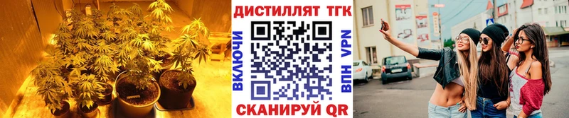 мега маркетплейс  Черноголовка  ТГК жижа  где купить наркотик 